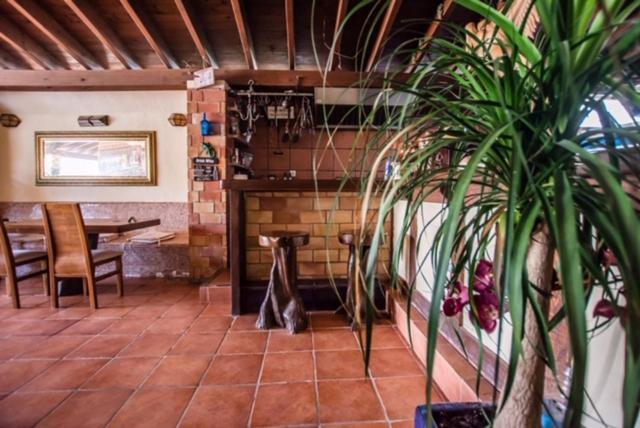 El Cortijo Escana Es Cana Eksteriør billede